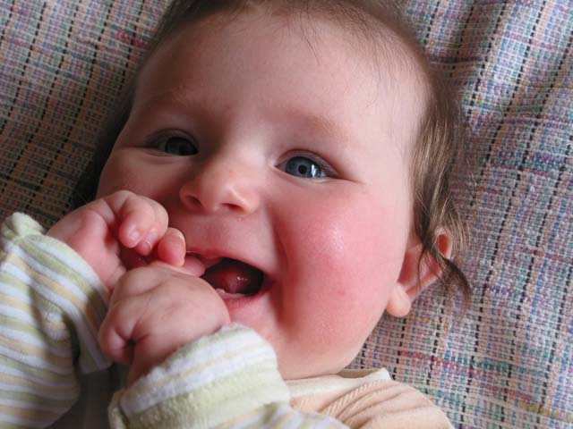Picture 003